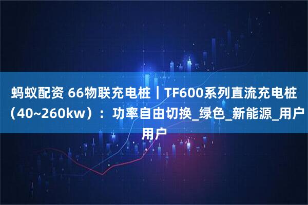 蚂蚁配资 66物联充电桩｜TF600系列直流充电桩（40~260kw）：功率自由切换_绿色_新能源_用户