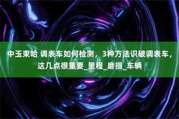 中玉束哈 调表车如何检测，3种方法识破调表车，这几点很重要_里程_磨损_车辆